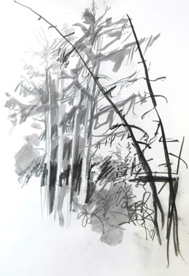 sk_05-08-15wald-2-netz