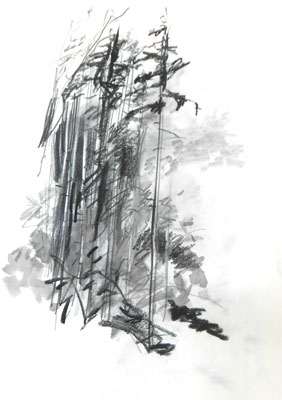 sk_05-08-15wald-3-netz