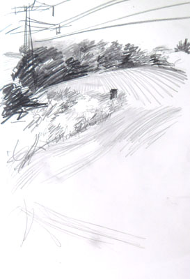 sk_05-08-15wald-8-netz