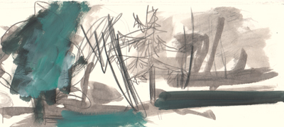 z_10-10-16erklaerzeichnungwald-netz