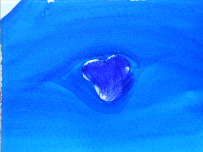 z_08-01-18schneeball-netz